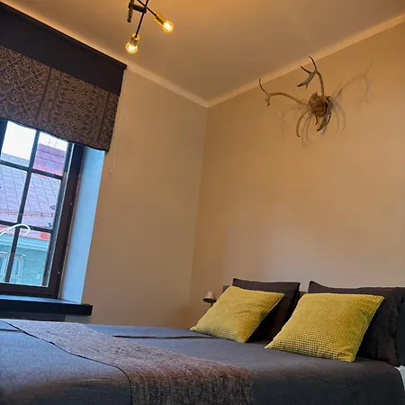 Daire Nordic Design District Area - Compact Center - New Renovated *